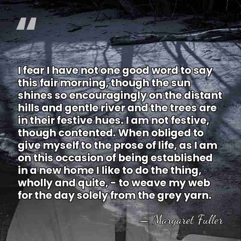 I fear I have not one good word to say this fair&hellip; - Margaret Fuller