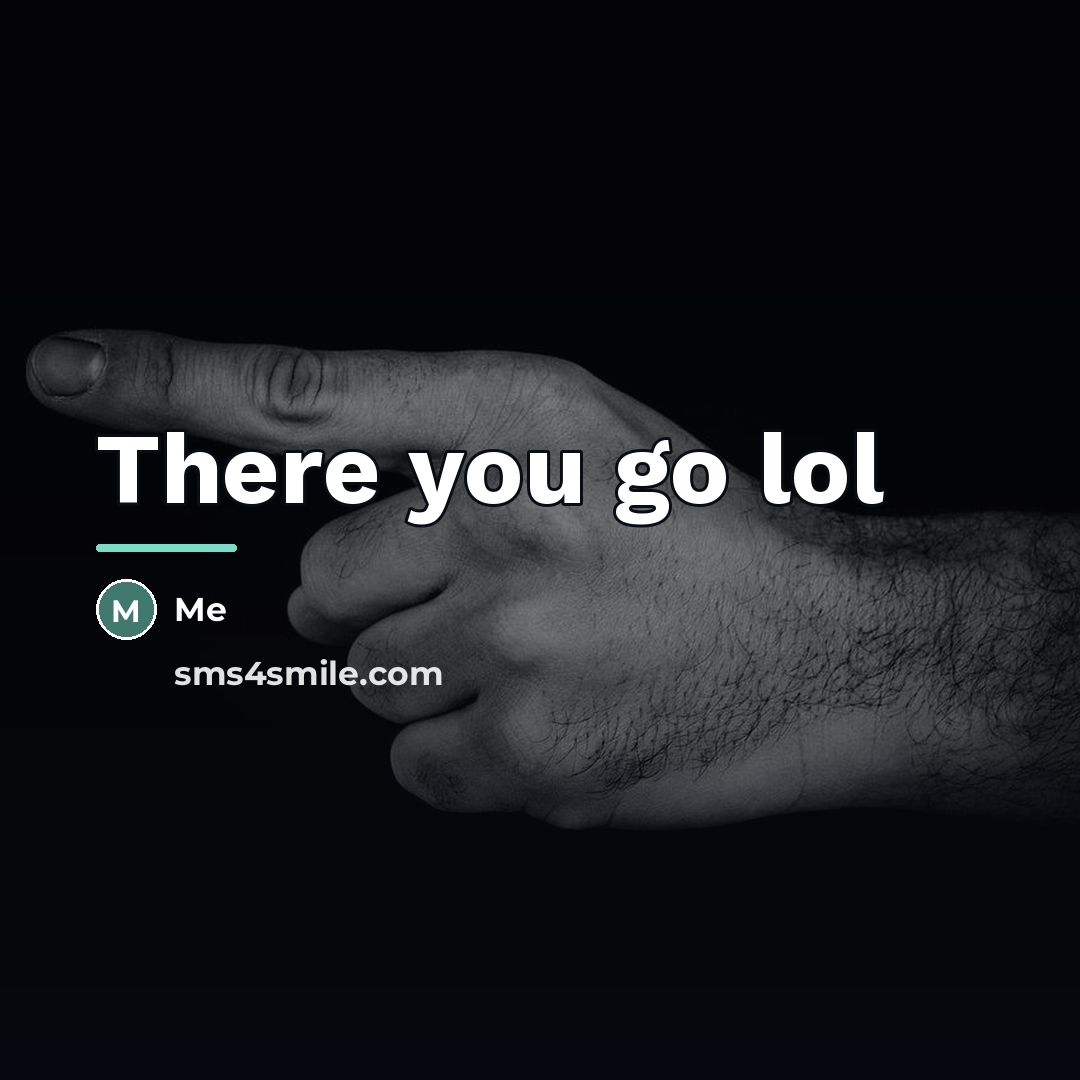“There you go lol…” quote by Me