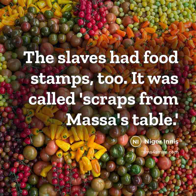 “The slaves had food stamps, too. It was called 'scraps…” quote by Niger Innis