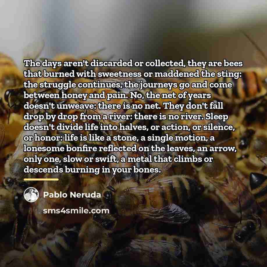 “The days aren't discarded or collected, they are bees that…” quote by Pablo Neruda