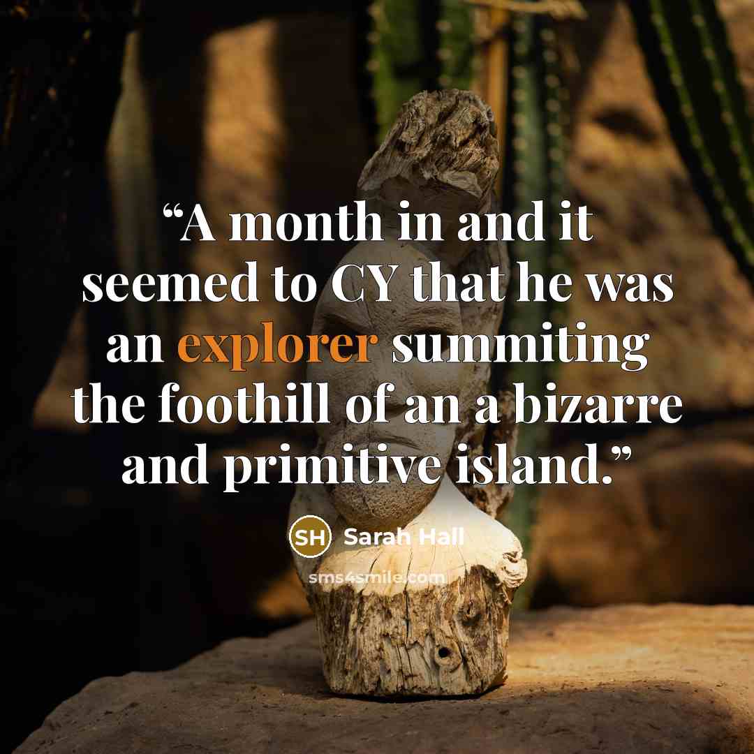 “A month in and it seemed to CY that he was an explorer summiting the foothill of an a bizarre and primitive island.” quote by Sarah Hall