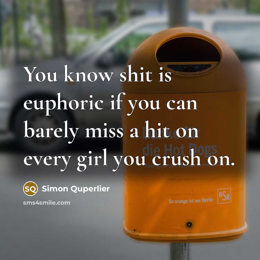 “You know shit is euphoric if you can barely miss a hit on every girl you crush on.” quote by Simon Quperlier
