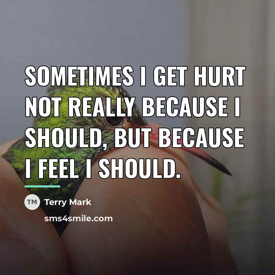 “Sometimes I get hurt not really because I should, but…” quote by Terry Mark