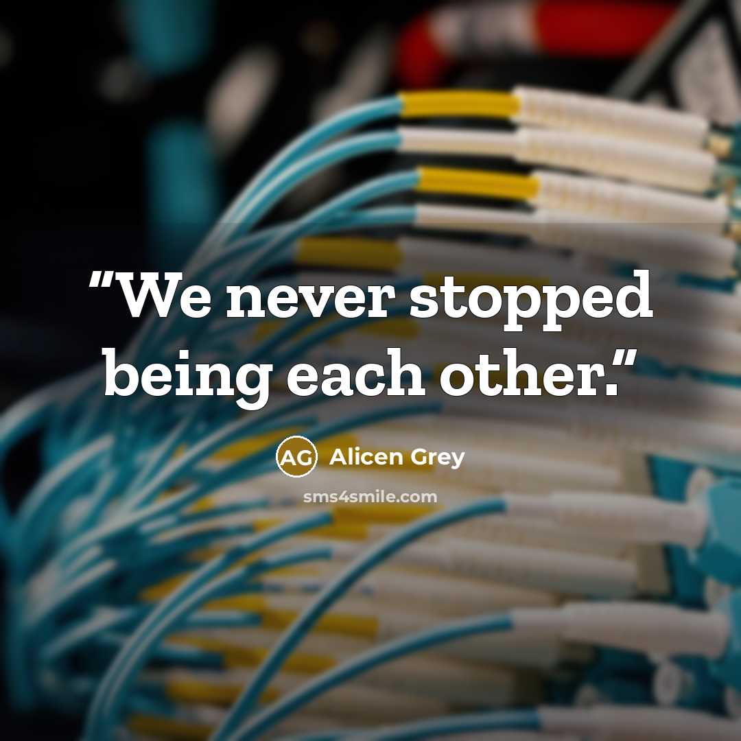“We never stopped being each other.” quote by Alicen Grey