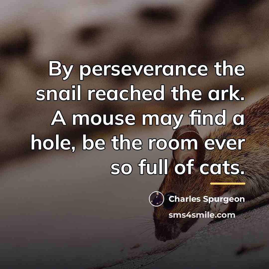 “By perseverance the snail reached the ark. A mouse may…” quote by Charles Spurgeon
