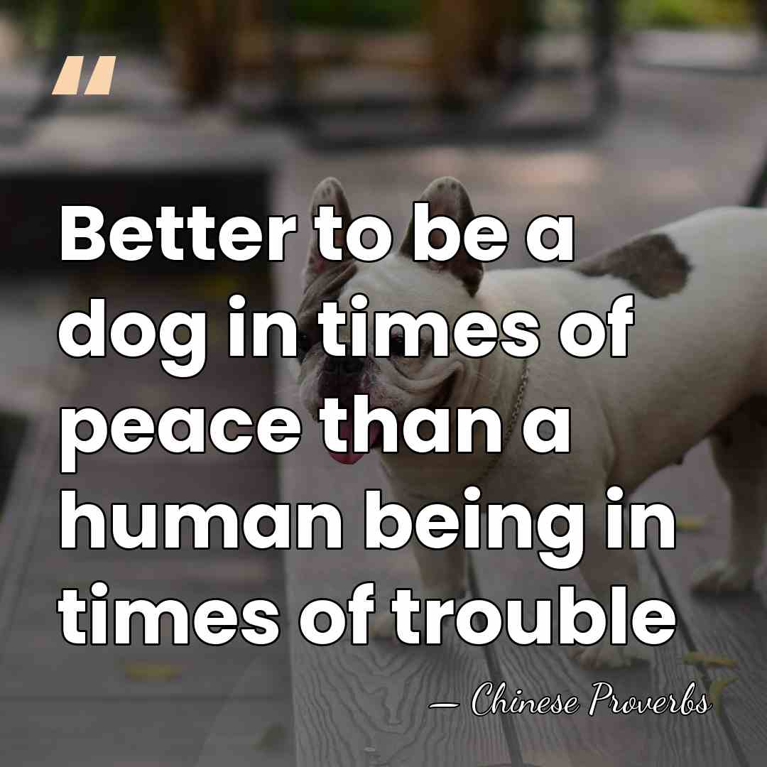 Better to be a dog in times of peace than a human&hellip; - Chinese Proverbs