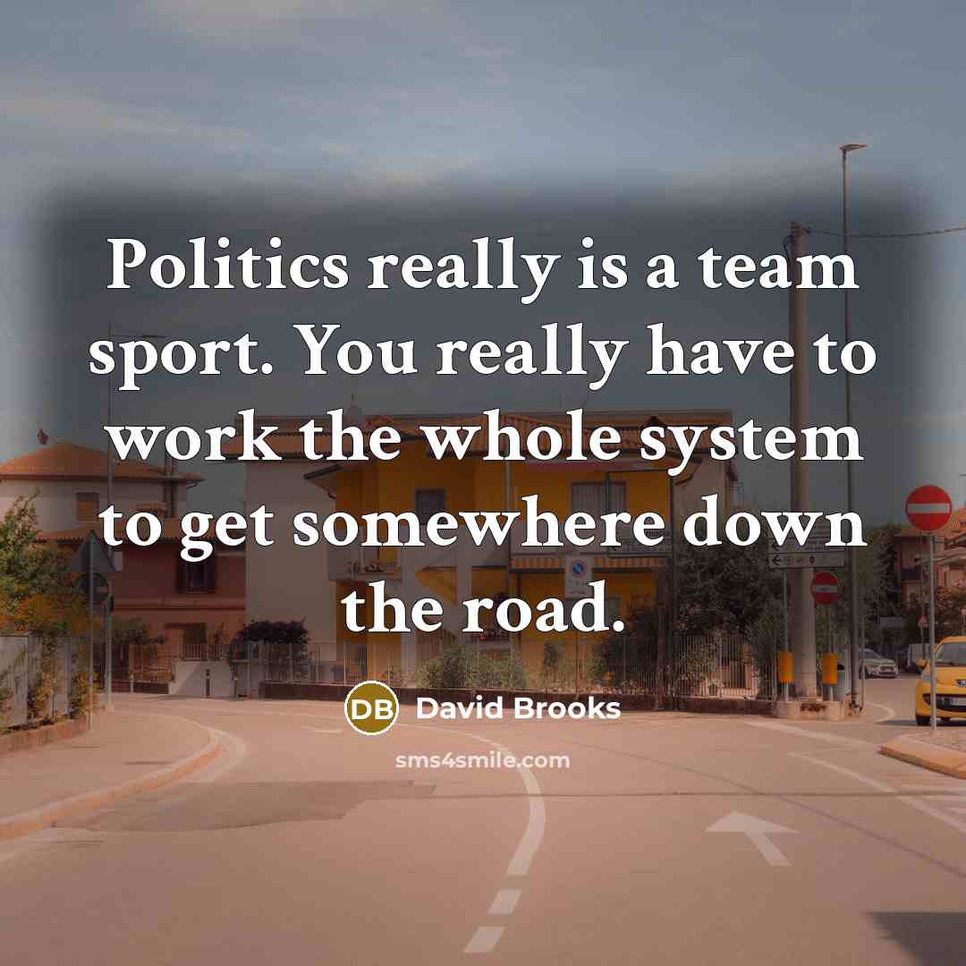 “Politics really is a team sport. You really have to…” quote by David Brooks