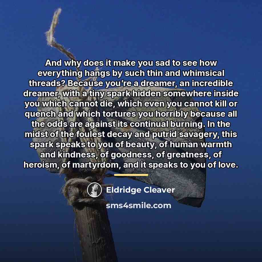 “And why does it make you sad to see how…” quote by Eldridge Cleaver