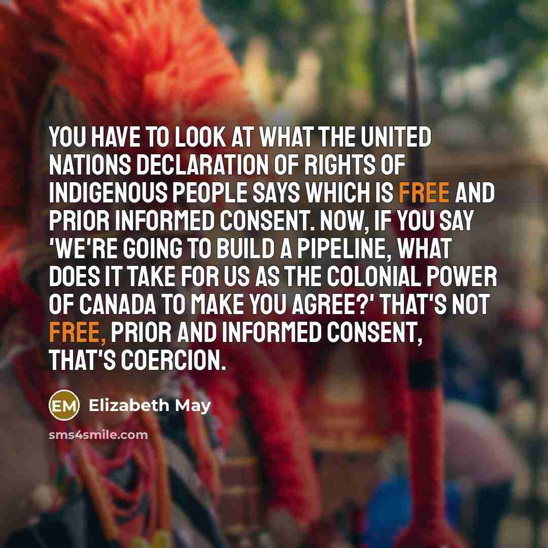 “You have to look at what the United Nations Declaration…” quote by Elizabeth May