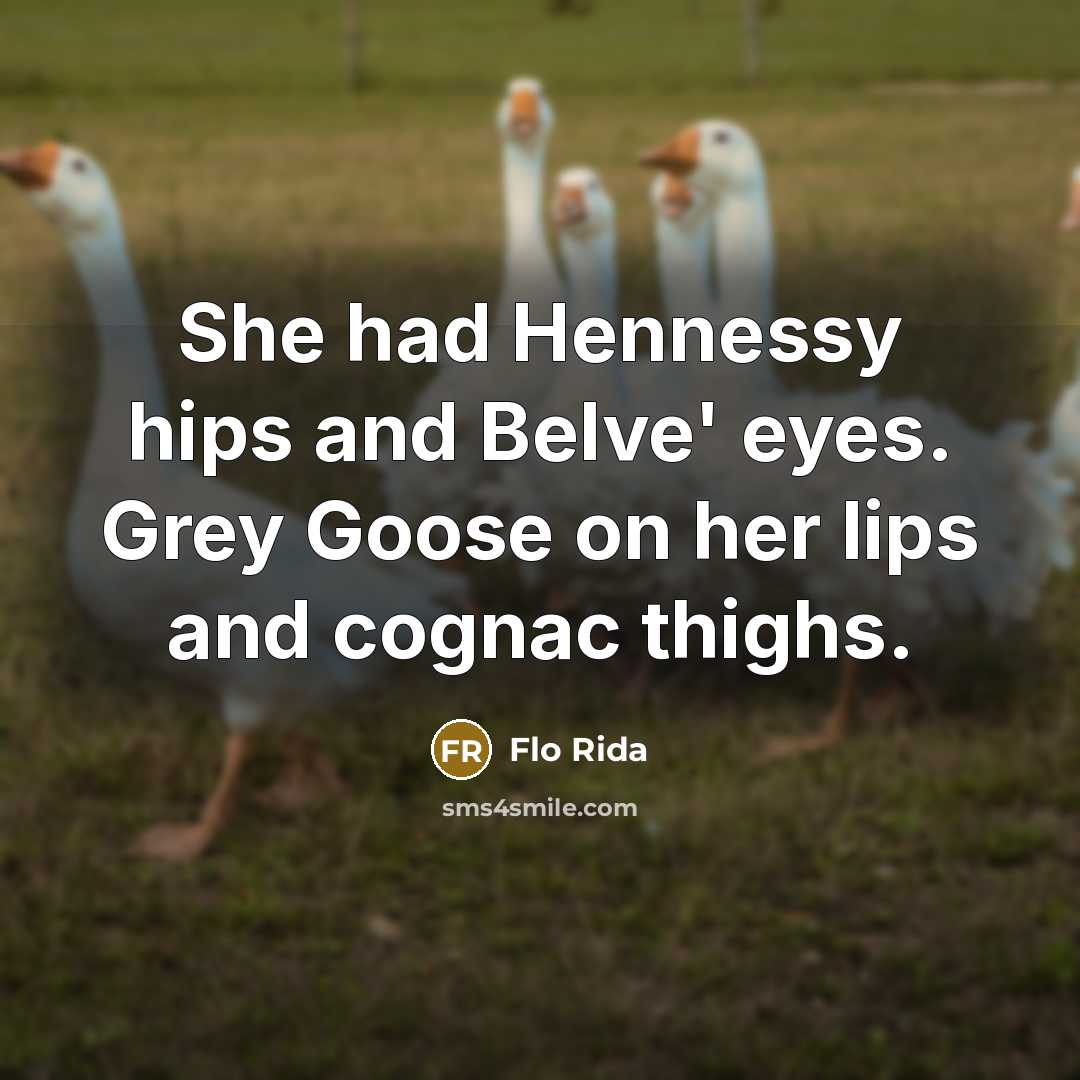 “She had Hennessy hips and Belve' eyes. Grey Goose on her lips and cognac thighs.” quote by Flo Rida