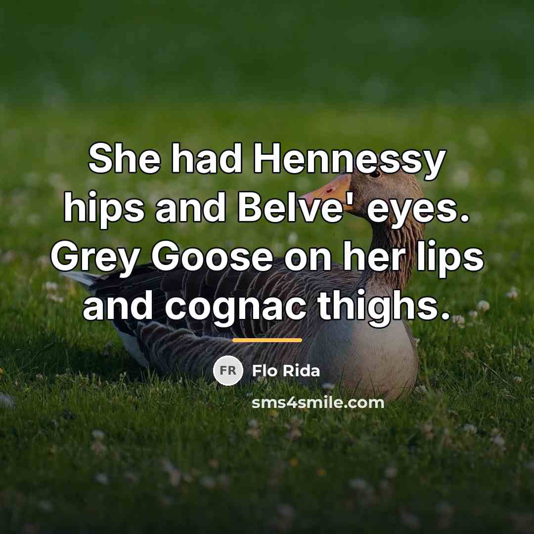 “She had Hennessy hips and Belve' eyes. Grey Goose on…” quote by Flo Rida