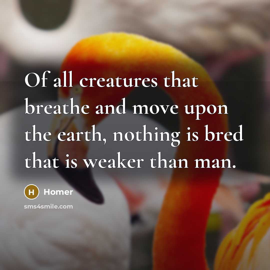 “Of all creatures that breathe and move upon the earth,…” quote by Homer