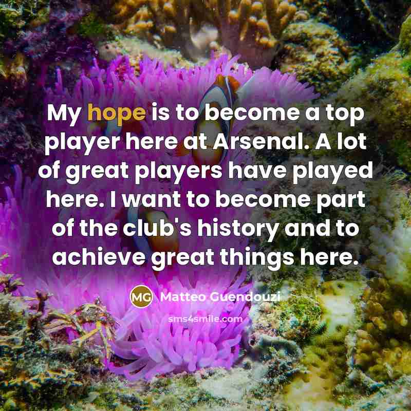 “My hope is to become a top player here at…” quote by Matteo Guendouzi
