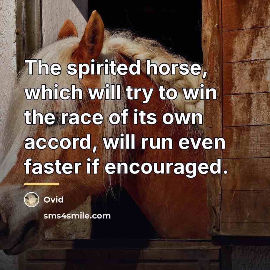 “The spirited horse, which will try to win the race…” quote by Ovid