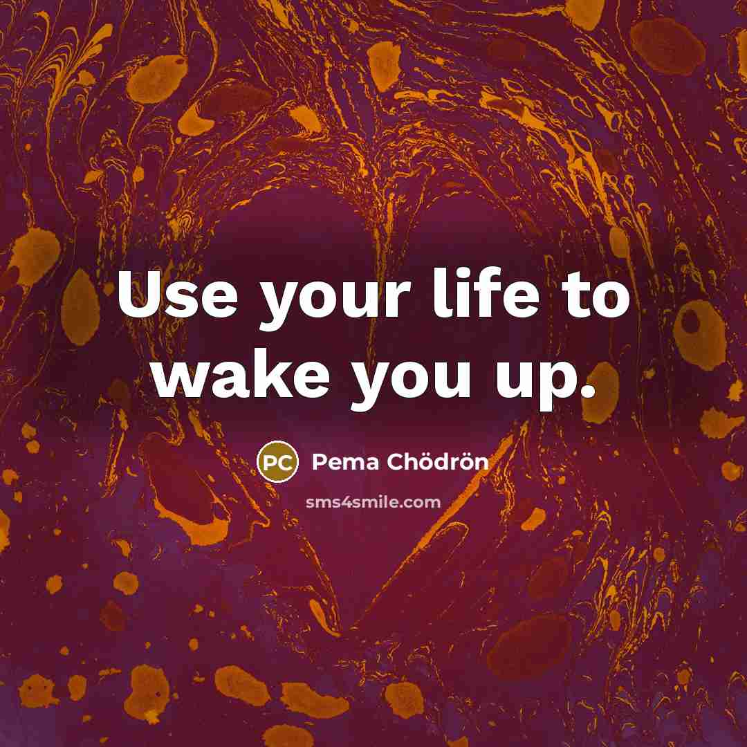 “Use your life to wake you up.…” quote by Pema Chodron