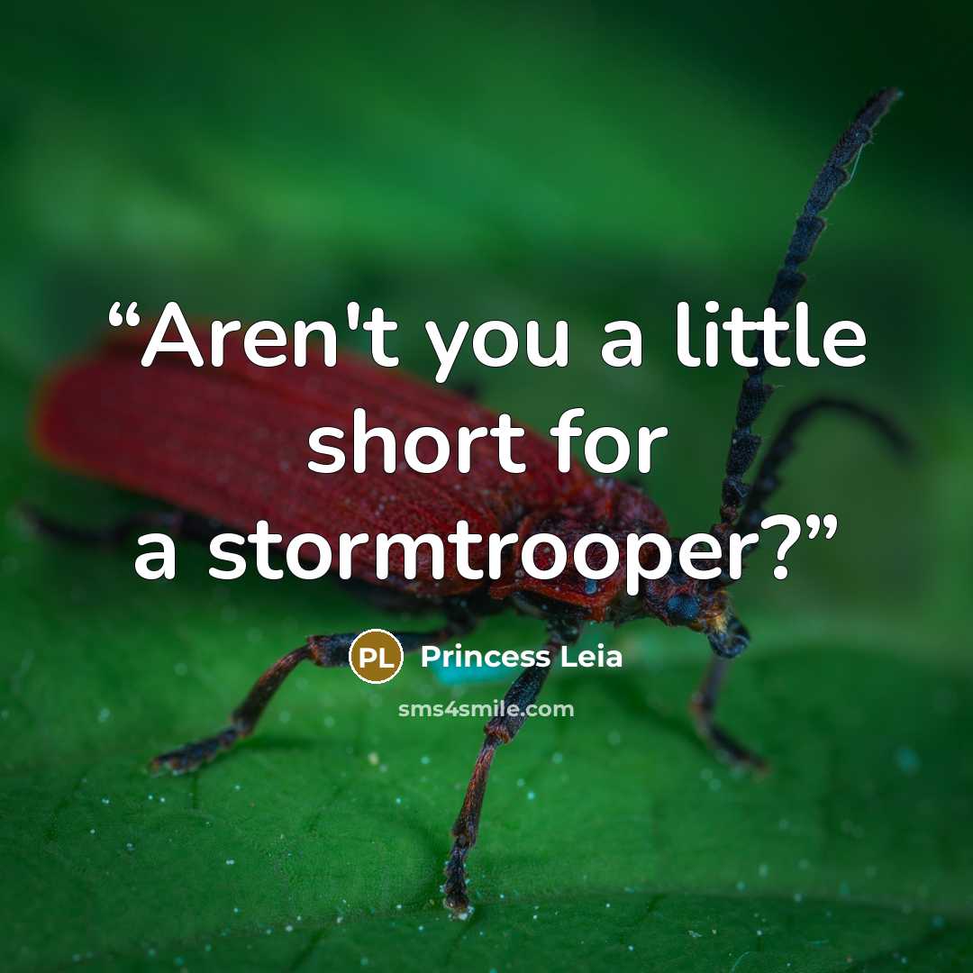 “Aren't you a little short for a stormtrooper?” quote by Princess Leia