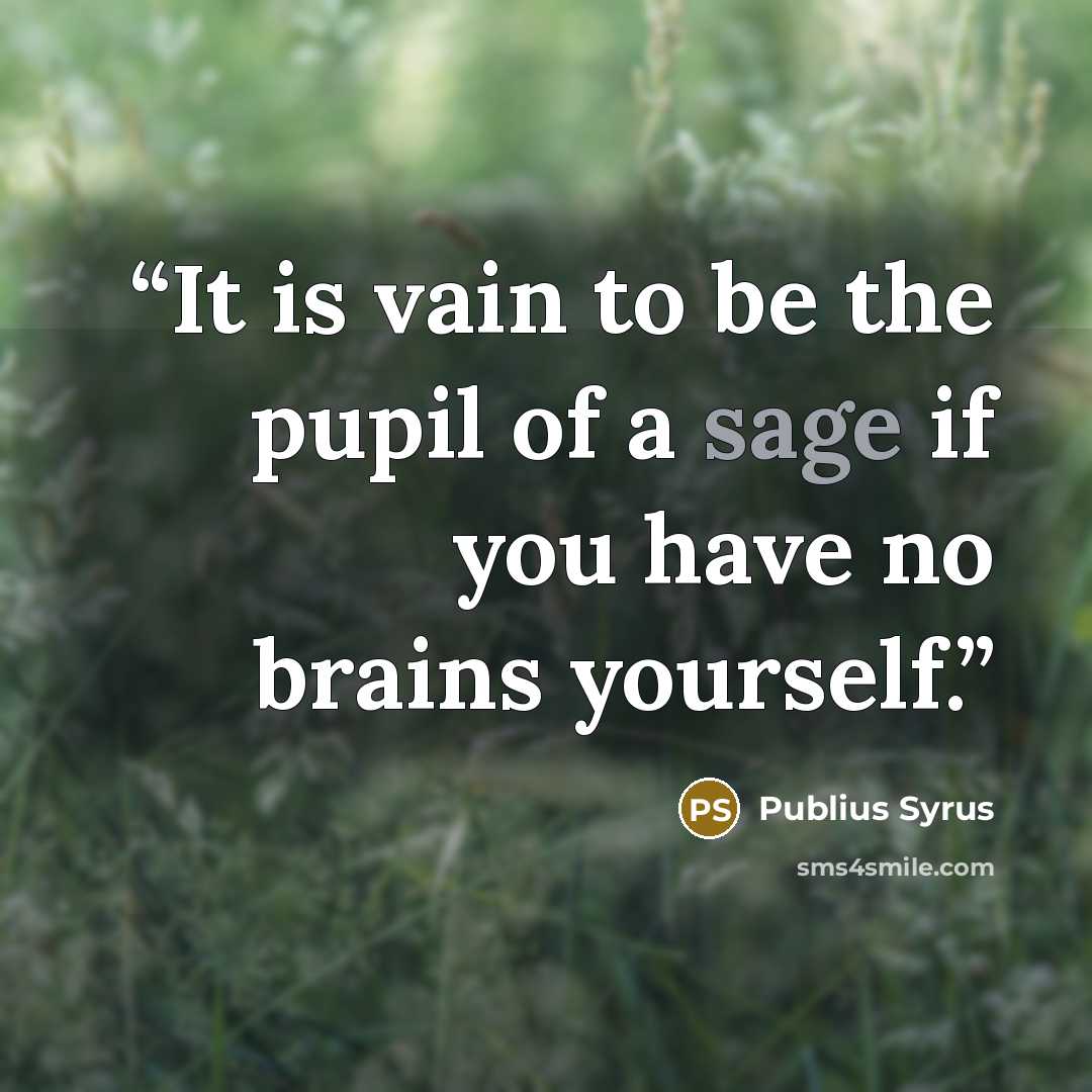 “It is vain to be the pupil of a sage if you have no brains yourself.” quote by Publius Syrus