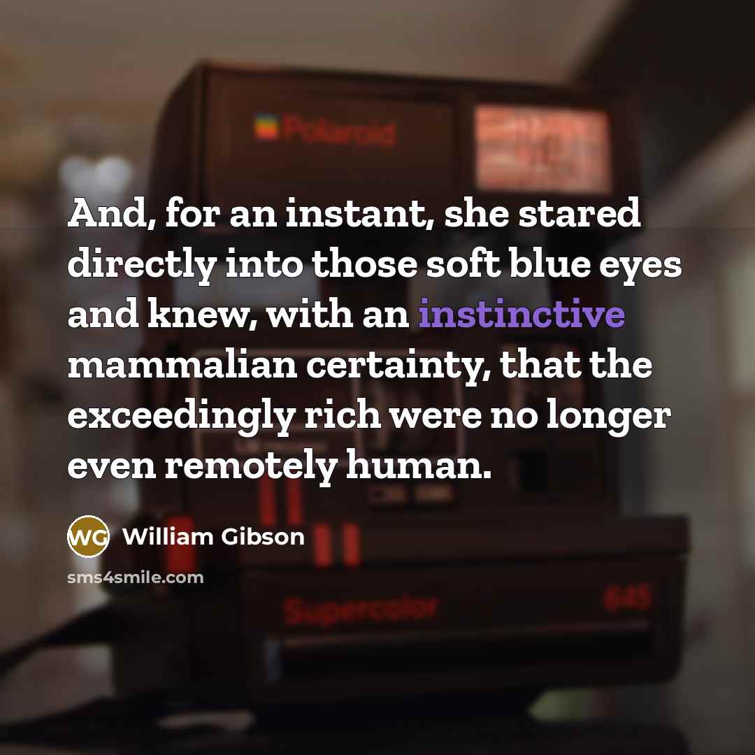 “And, for an instant, she stared directly into those soft…” quote by William Gibson