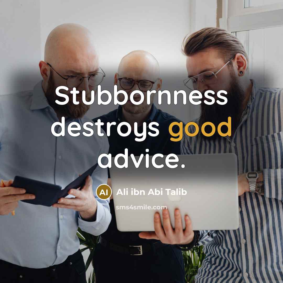 “Stubbornness destroys good advice.…” quote by Ali ibn Abi Talib