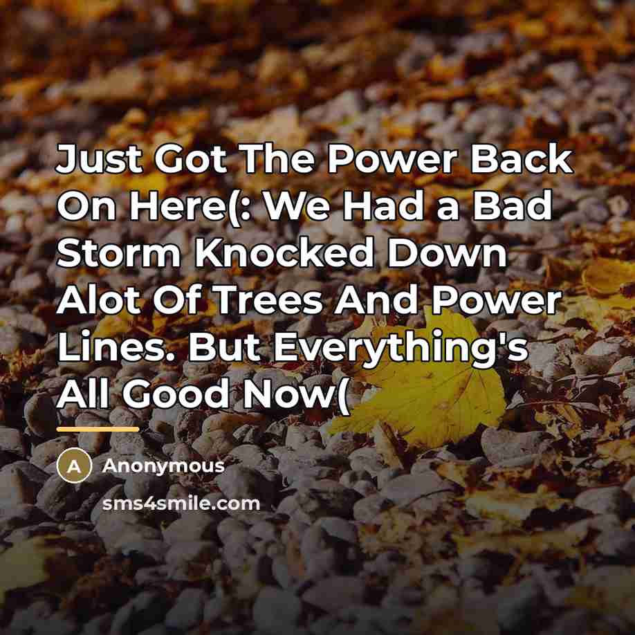 “Just Got The Power Back On Here(: We Had a…” quote by Anonymous
