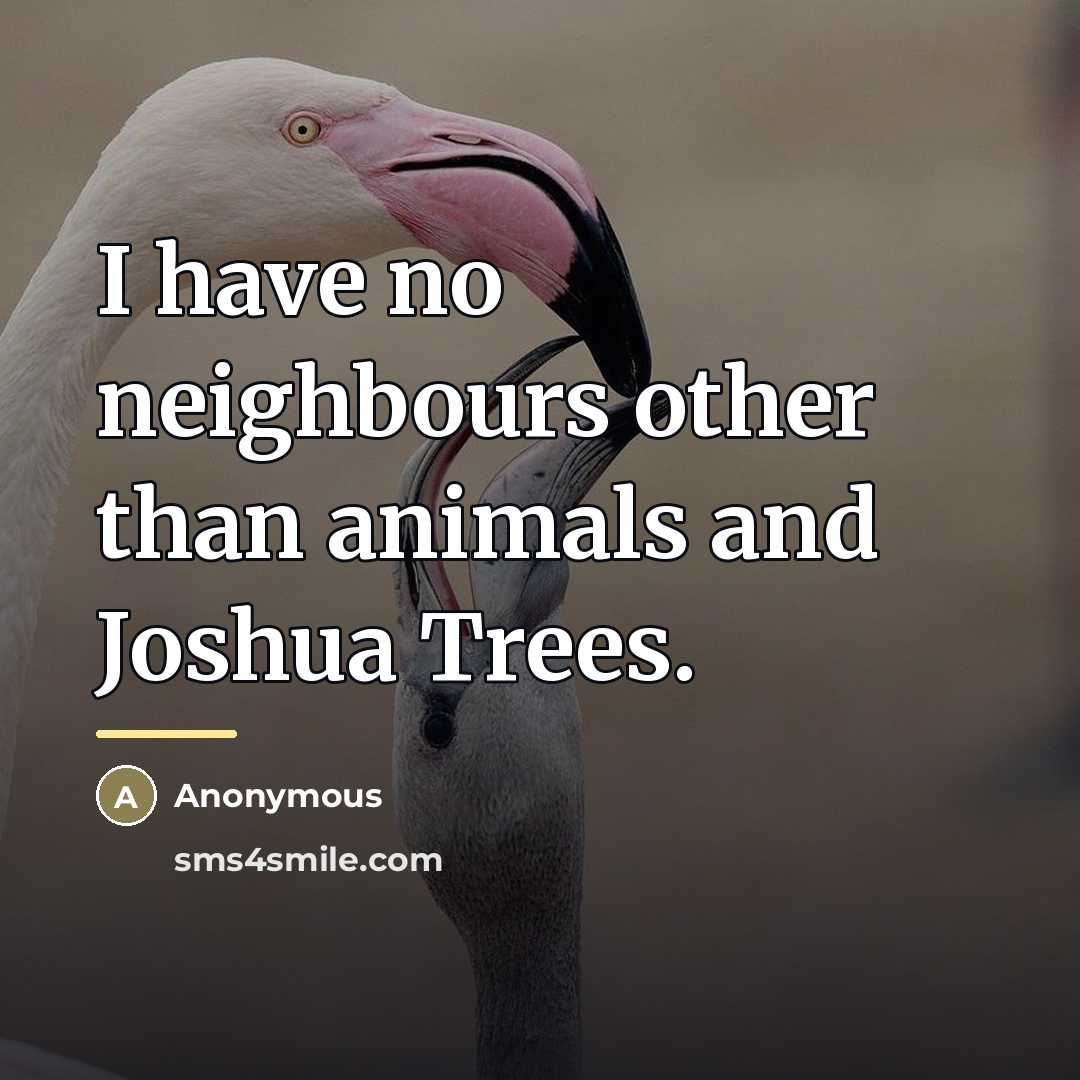 “I have no neighbours other than animals and Joshua Trees.…” quote by Anonymous