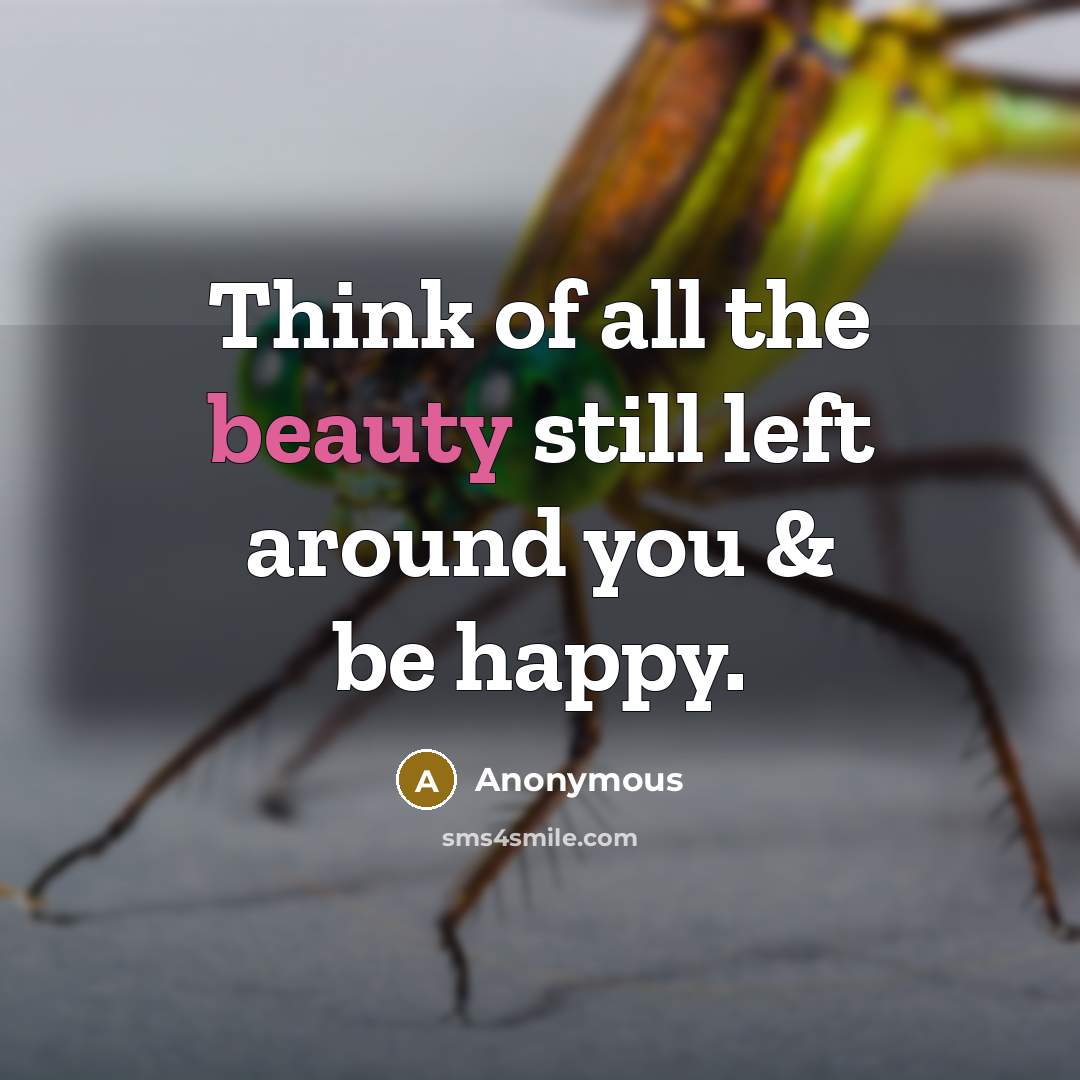 “Think of all the beauty still left around you &…” quote by Anonymous