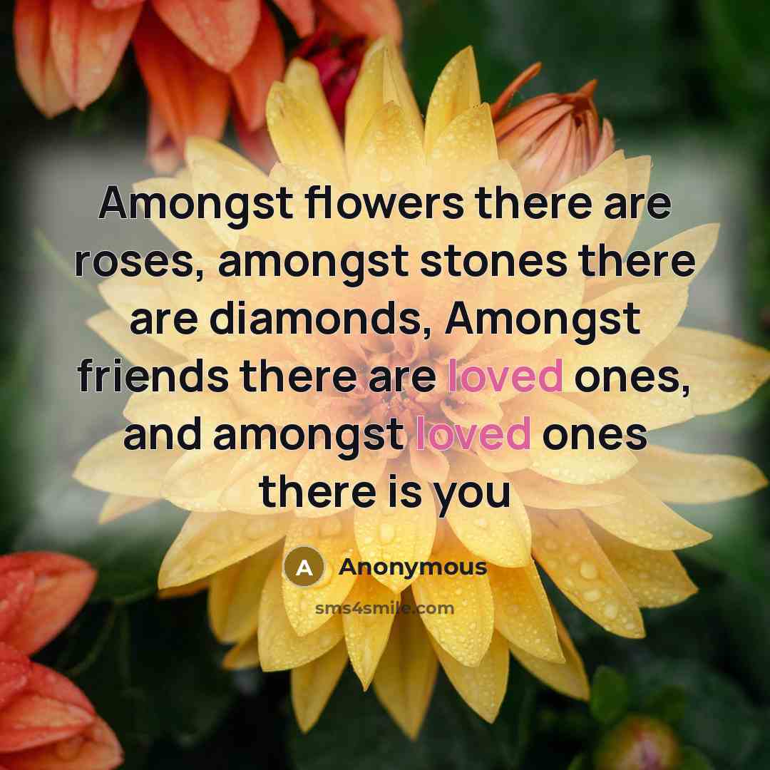 “Amongst flowers there are roses, amongst stones there are diamonds,…” quote by Anonymous
