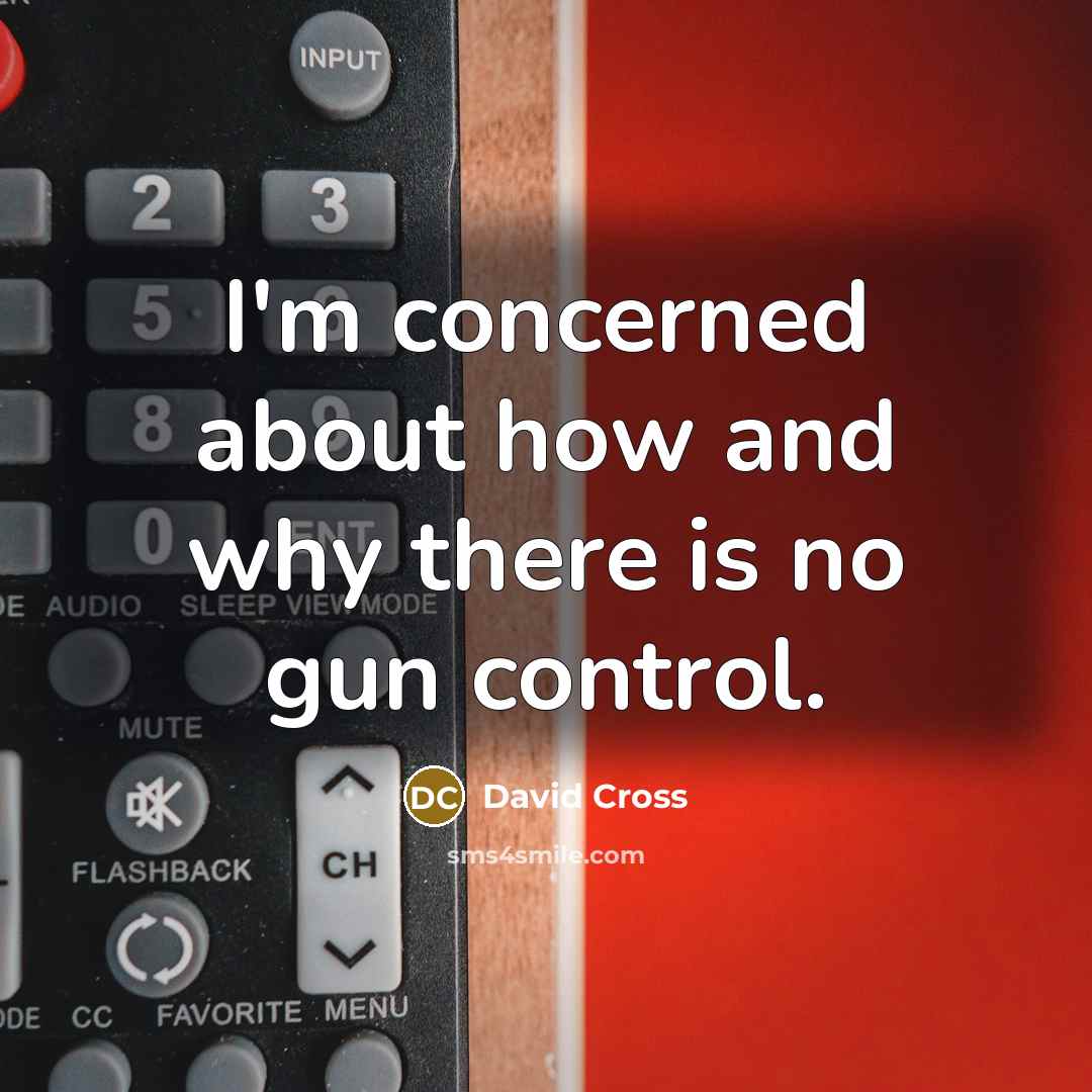 “I'm concerned about how and why there is no gun control.” quote by David Cross