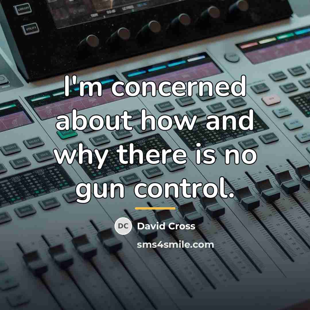“I'm concerned about how and why there is no gun…” quote by David Cross