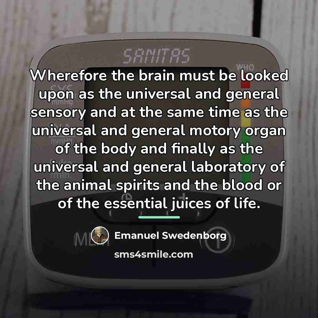 “Wherefore the brain must be looked upon as the universal…” quote by Emanuel Swedenborg