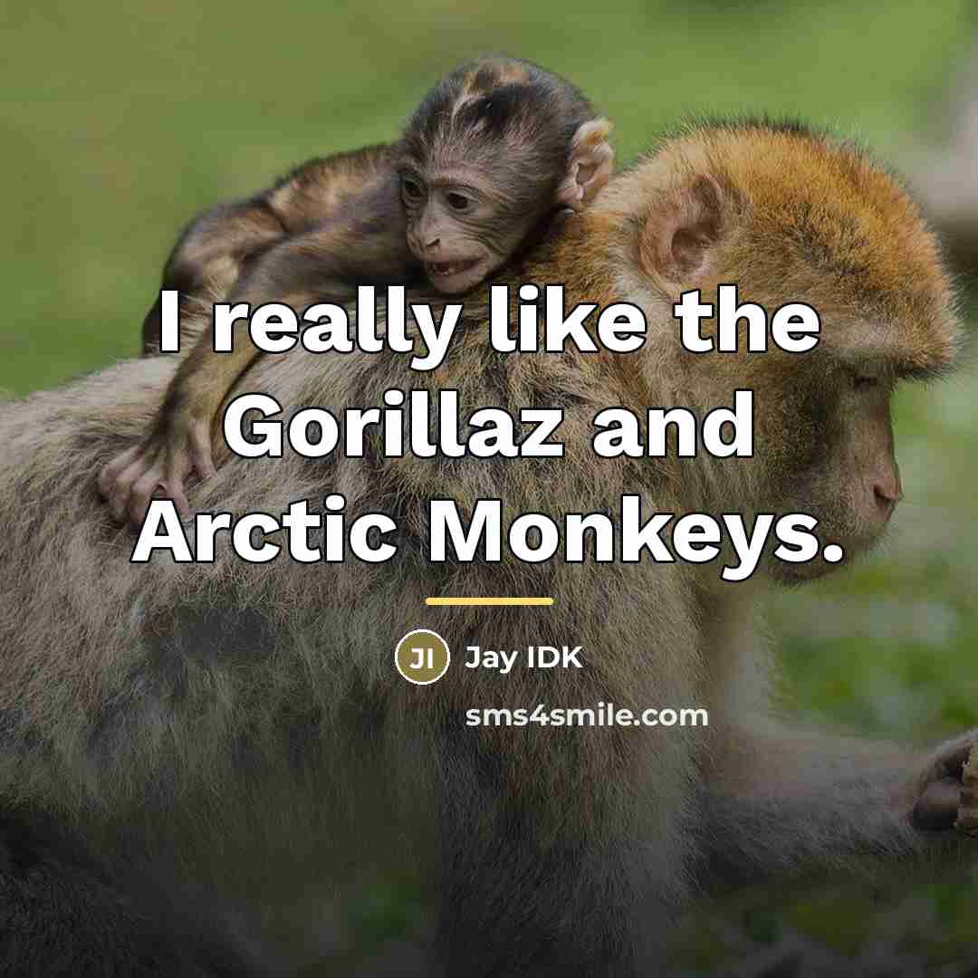 “I really like the Gorillaz and Arctic Monkeys.…” quote by Jay IDK