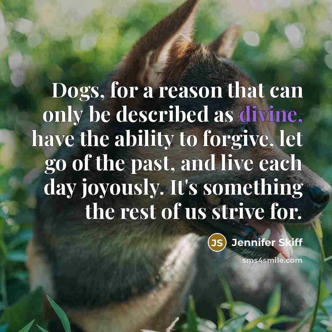 “Dogs, for a reason that can only be described as…” quote by Jennifer Skiff