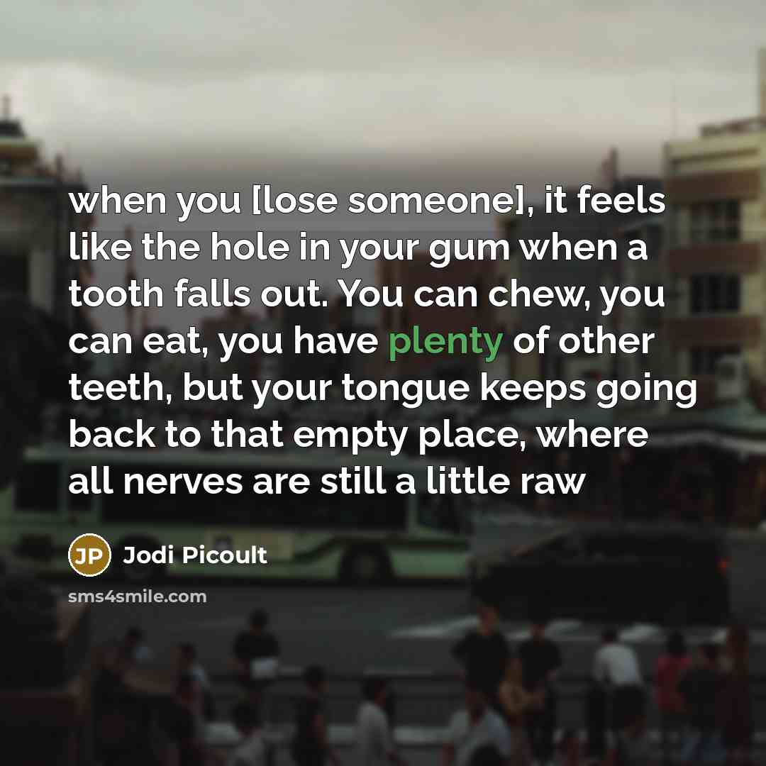 “when you [lose someone], it feels like the hole in…” quote by Jodi Picoult