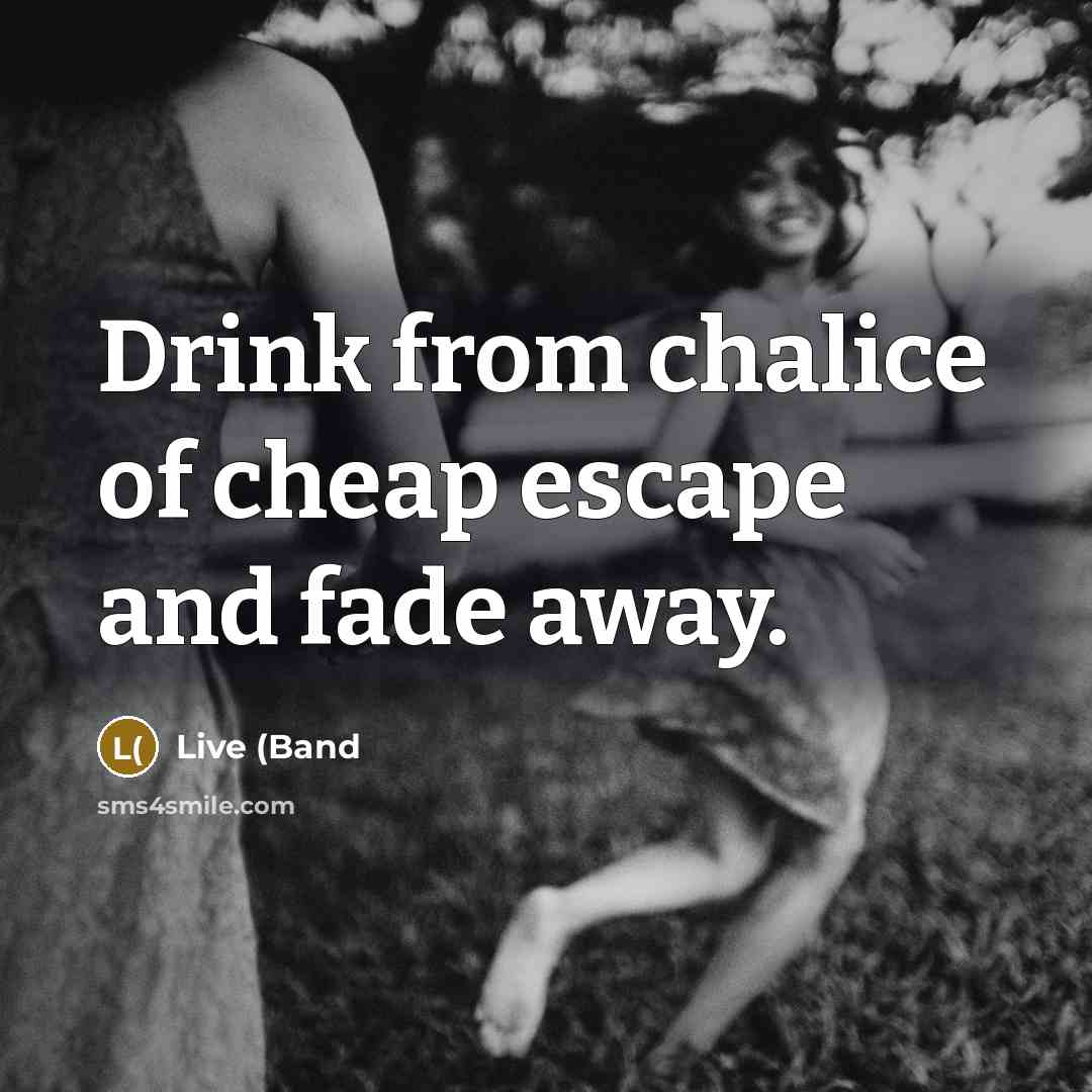 “Drink from chalice of cheap escape and fade away.…” quote by Live (Band