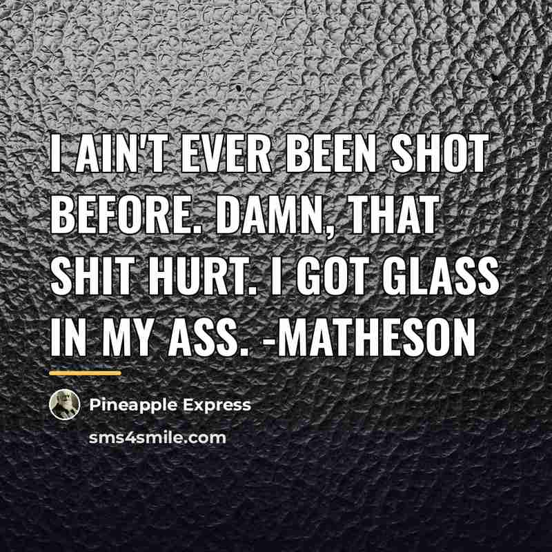 “I ain't ever been shot before. Damn, that shit hurt.…” quote by Pineapple Express
