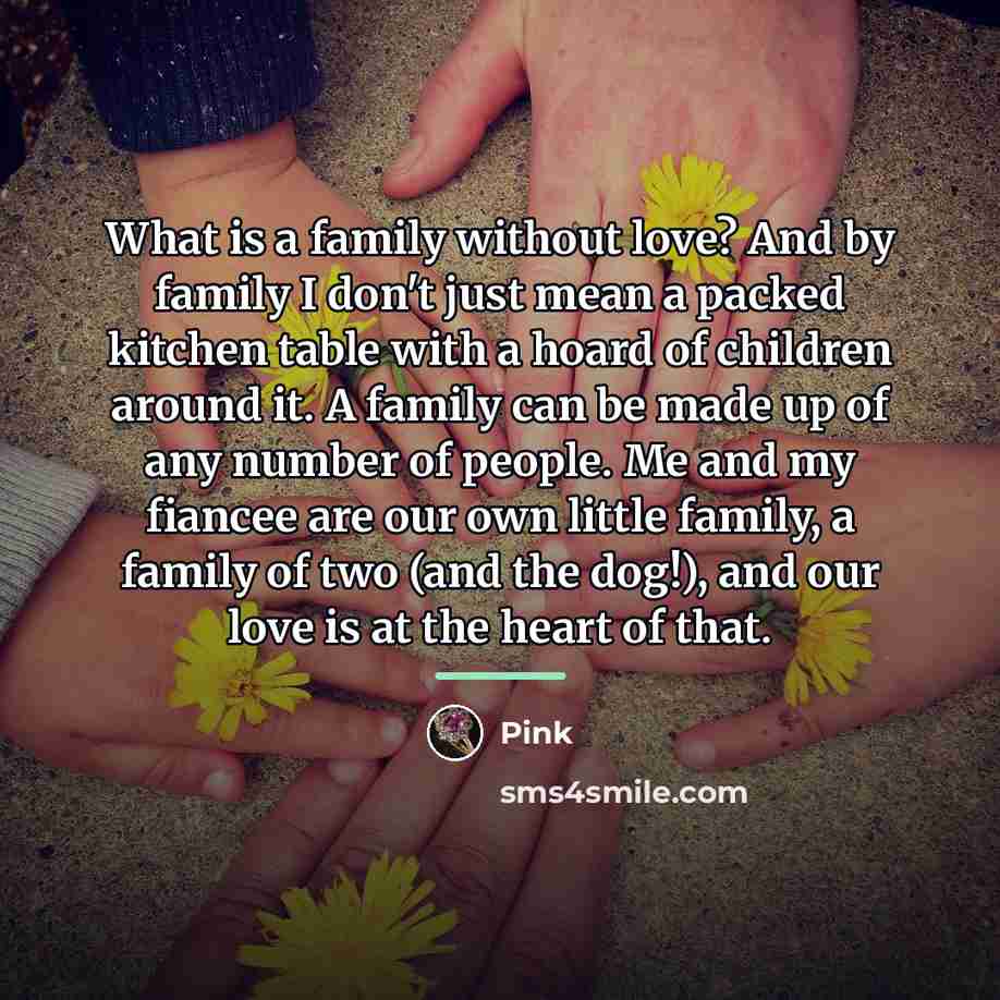 “What is a family without love? And by family I…” quote by Pink