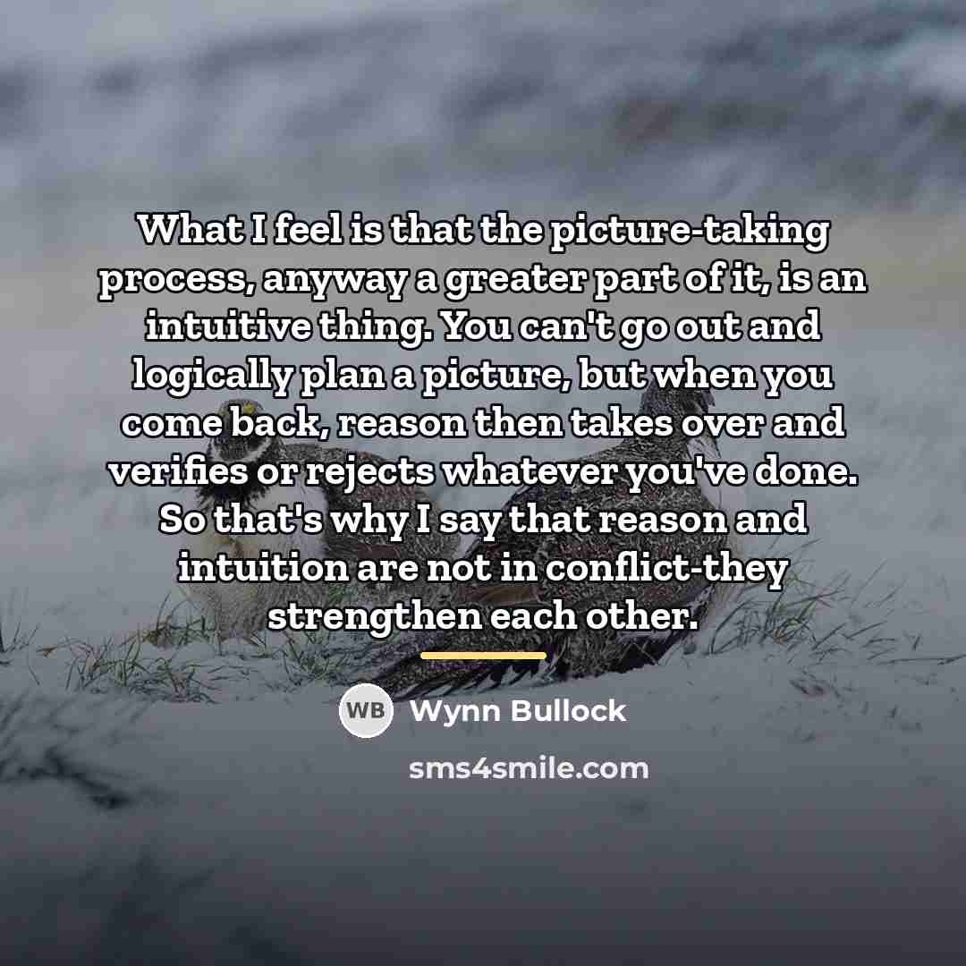 “What I feel is that the picture-taking process, anyway a…” quote by Wynn Bullock