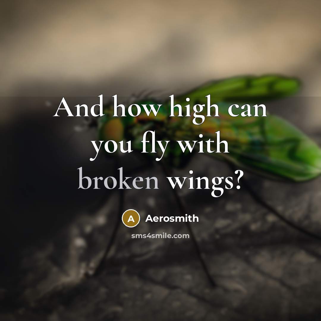 “And how high can you fly with broken wings?…” quote by Aerosmith