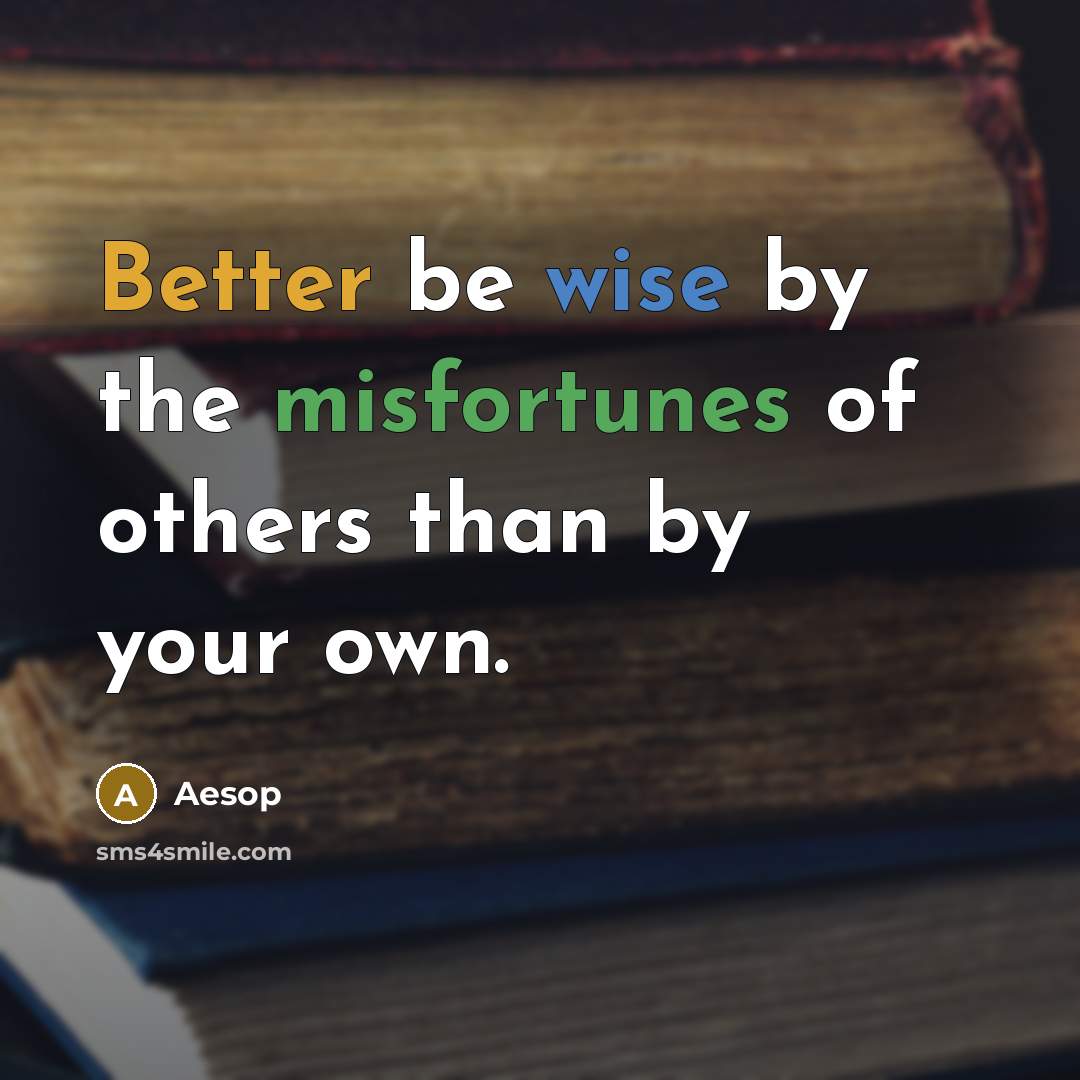 “Better be wise by the misfortunes of others than by your own.” quote by Aesop