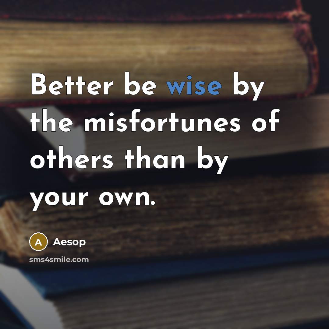 “Better be wise by the misfortunes of others than by…” quote by Aesop
