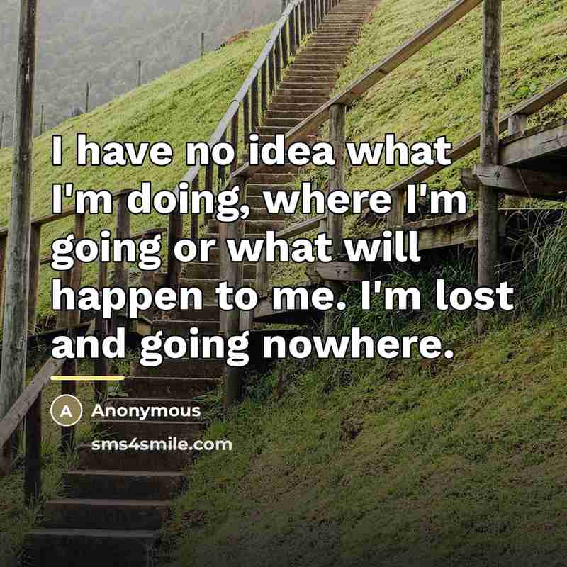 “I have no idea what I'm doing, where I'm going…” quote by Anonymous