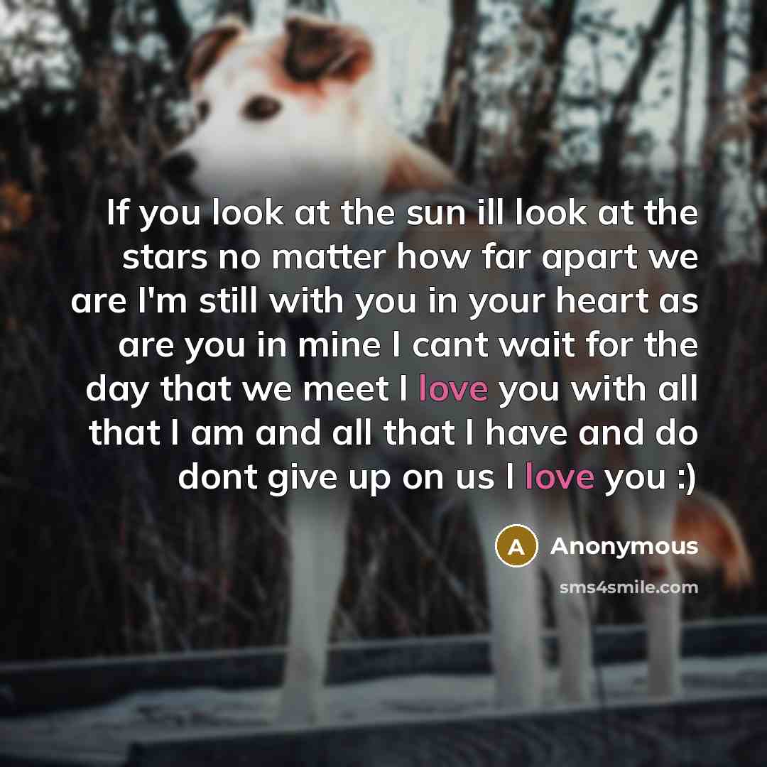 “If you look at the sun ill look at the stars no matter how far apart we are I'm still with you in your heart as are you in mine I cant wait for the day that we meet I love you with all that I am and all that I have and do dont give up on us I love you :)” quote by Anonymous