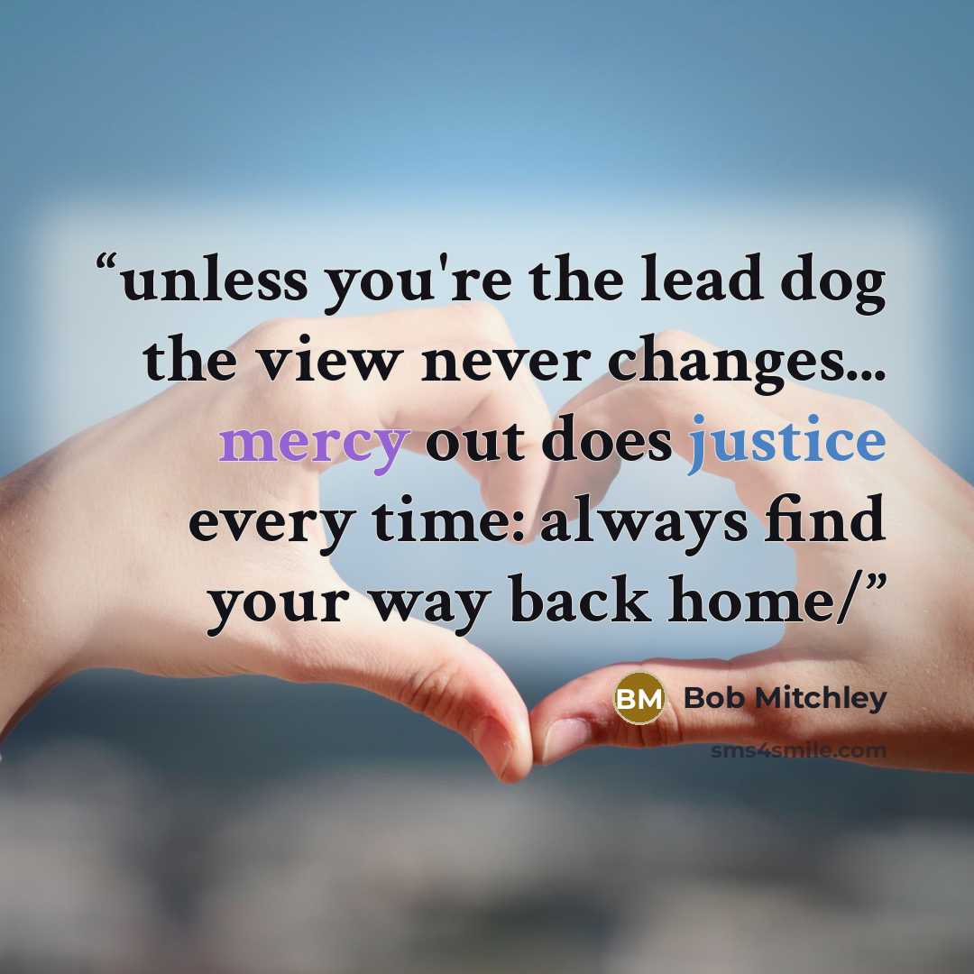 “unless you're the lead dog the view never changes... mercy out does justice every time: always find your way back home/” quote by Bob Mitchley