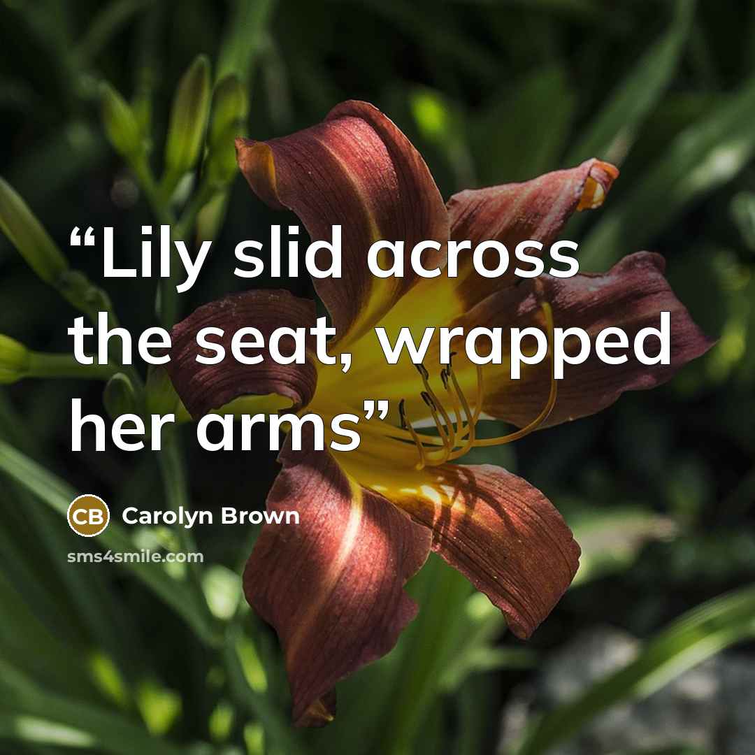 “Lily slid across the seat, wrapped her arms” quote by Carolyn Brown