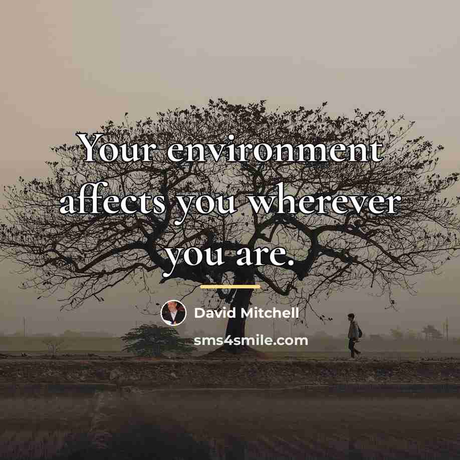 “Your environment affects you wherever you are.…” quote by David Mitchell