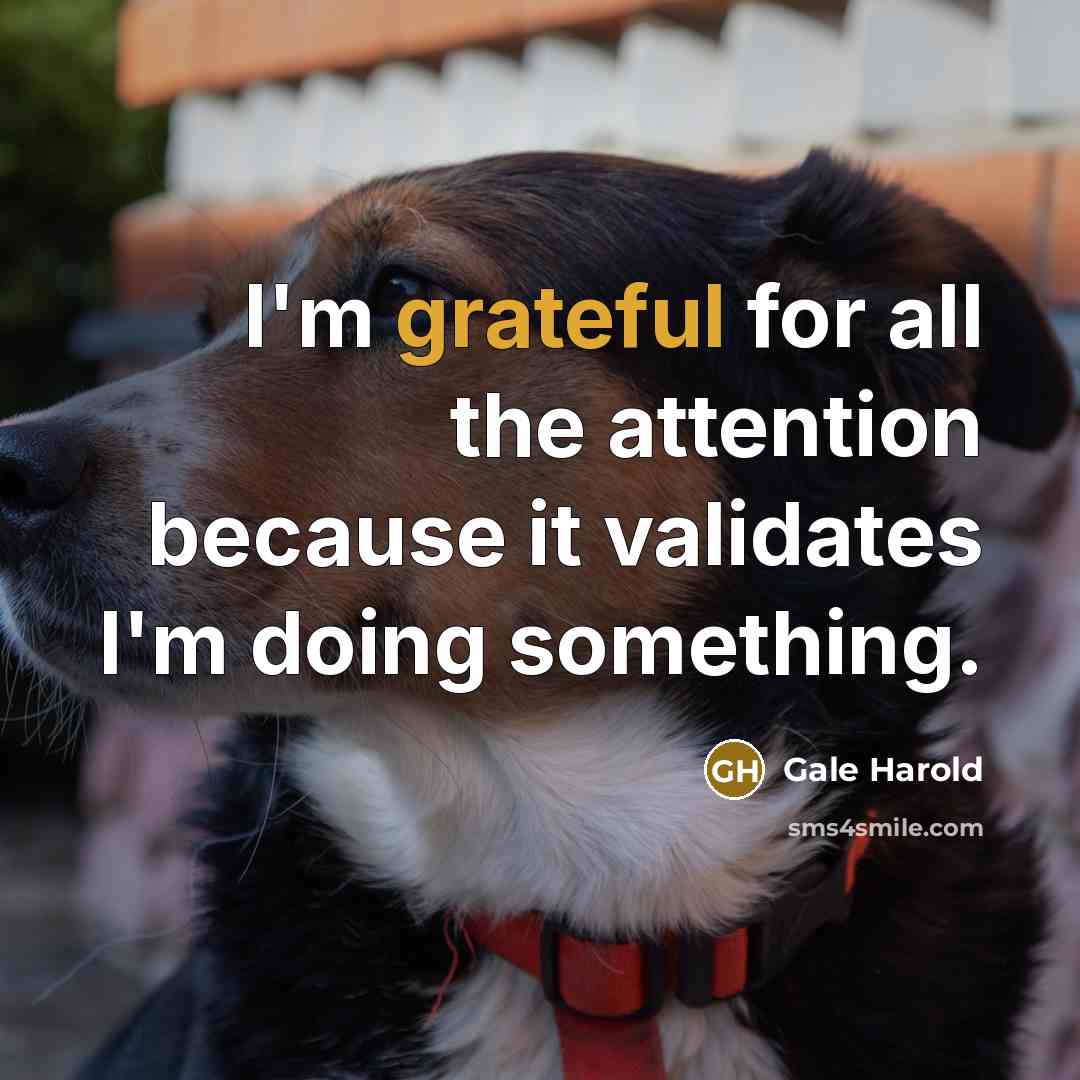 “I'm grateful for all the attention because it validates I'm…” quote by Gale Harold