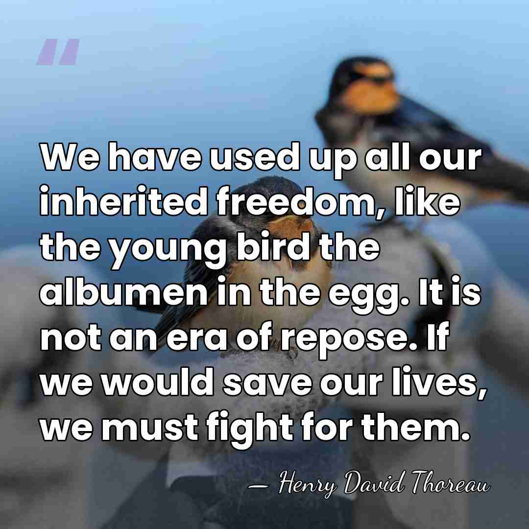We have used up all our inherited freedom, like the young bird&hellip; - Henry David Thoreau