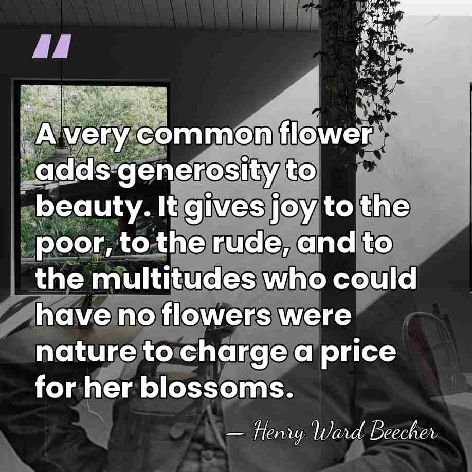 A very common flower adds generosity to beauty. It gives joy to&hellip; - Henry Ward Beecher