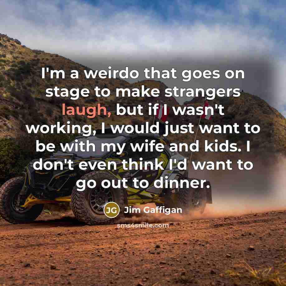 “I'm a weirdo that goes on stage to make strangers…” quote by Jim Gaffigan