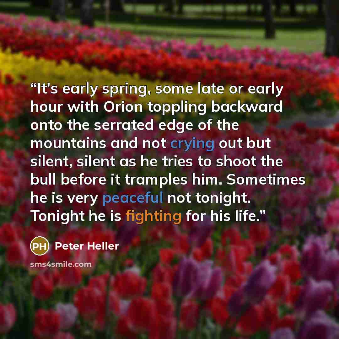 “It's early spring, some late or early hour with Orion toppling backward onto the serrated edge of the mountains and not crying out but silent, silent as he tries to shoot the bull before it tramples him. Sometimes he is very peaceful not tonight. Tonight he is fighting for his life.” quote by Peter Heller